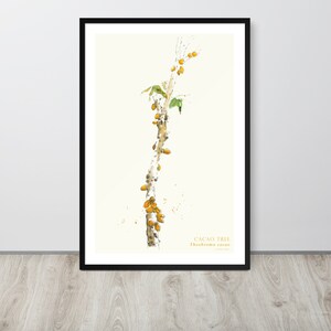 Puede incluir: Una pintura de acuarela de un &aacute;rbol de cacao con frutos amarillos y hojas verdes. El texto "CACAO TREE Theobroma cacao" est&aacute; en la parte inferior de la imagen.