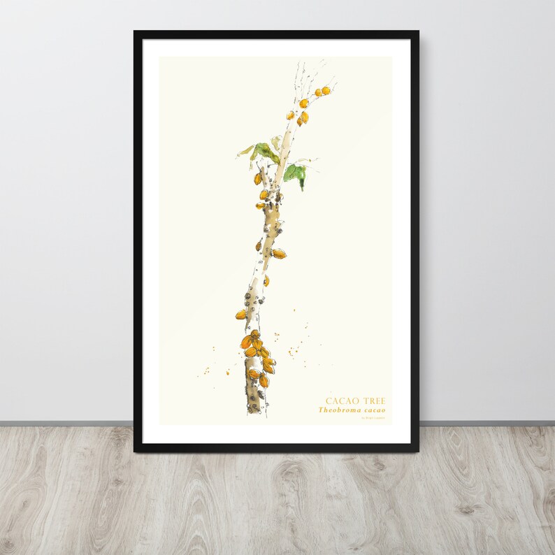 Puede incluir: Una pintura de acuarela de un &aacute;rbol de cacao con frutos amarillos y hojas verdes. El texto "CACAO TREE Theobroma cacao" est&aacute; en la parte inferior de la imagen.