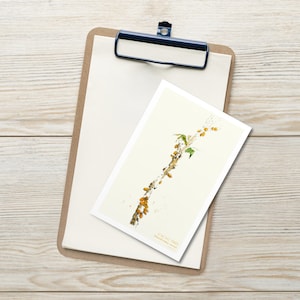 Carte postale Cacaoyer, Theobroma Cacao. Aquarelle peinte à la main pour des salutations chaleureuses comme souvenir et décoration