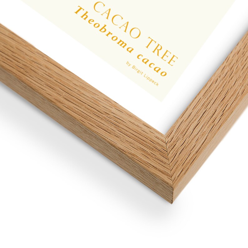 Puede incluir: Primer plano de un marco de madera con fondo blanco y el texto "CACAO TREE Theobroma cacao by Birgit Lippeck".