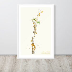 Puede incluir: Una pintura de acuarela de un &aacute;rbol de cacao con vainas amarillas y hojas verdes. El texto "CACAO TREE Theobroma cacao" est&aacute; en la parte inferior de la imagen.