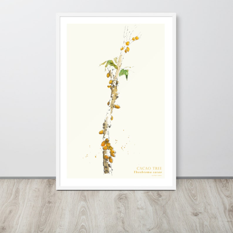 Puede incluir: Una pintura de acuarela de un &aacute;rbol de cacao con vainas amarillas y hojas verdes. El texto "CACAO TREE Theobroma cacao" est&aacute; en la parte inferior de la imagen.