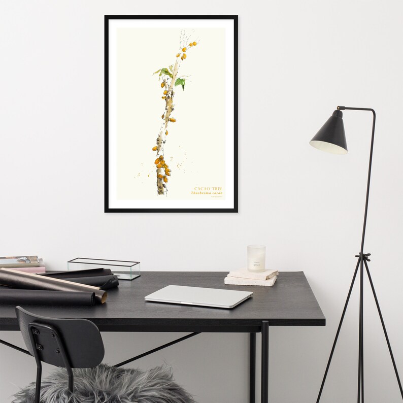 Puede incluir: Una ilustraci&oacute;n bot&aacute;nica enmarcada de un &aacute;rbol de cacao con el texto "CACAO TREE Theobroma cacao" impreso debajo de la imagen.