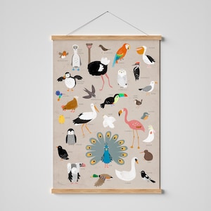Stampa "Uccelli" | manifesto dell'uccello | manifesto didattico | specie di uccelli | amore per gli uccelli | Apprendimento | poster di animali | Illustrazione | Colori | Manifesto | Stampa artistica | Immagine
