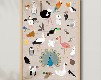 Imprimer « Oiseaux » | Affiche d’oiseau | Affiche d’apprentissage | Espèces d'oiseaux | Amour des oiseaux | Apprendre | Affiche animale | Illustration | Couleurs | Affiches | Impression d’art | Image