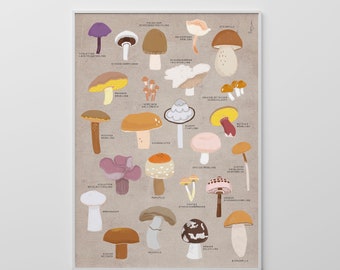 Print "Pilze" | Pilzposter | Pilzsorten | Essbar | Natur | Illustration | Poster | Artprint | Pilzarten | Übersicht | Küche | Bunt | Wald