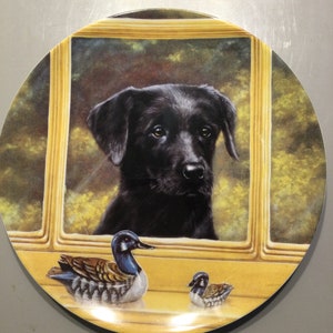 Wedgwood Bone China Collectors Plates- Playful Puppies with certificate of authenticity Can I Come In ?