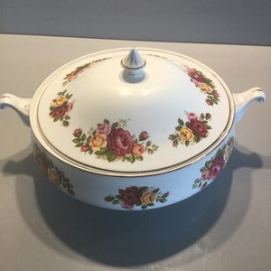 Mayfair bone china tureen , made in England, fine bone china.