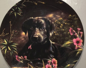 Wedgwood Bone China Collectors Plates- Playful Puppies with certificate of authenticity A Taste Of Spring