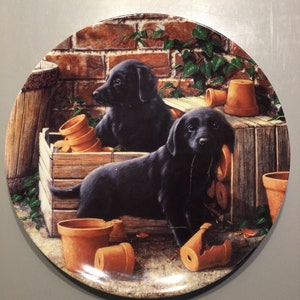 Wedgwood Bone China Collectors Plates- Playful Puppies with certificate of authenticity Pots of Fun