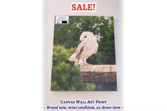 Bird Photography Barn Owl Sale Discounted Canvas Print Etsy
