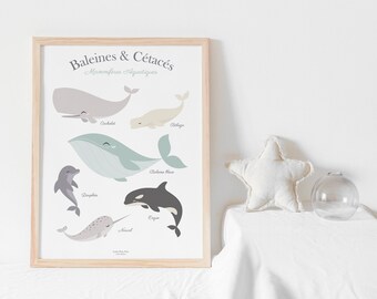 Affiche enfant baleines, affiche cétacés, affiche bébé baleine, affiche enfant mer et océan