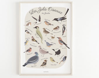 Affiche oiseaux, affiche enfant oiseaux, affiche enfant nature, affiche enfant animaux