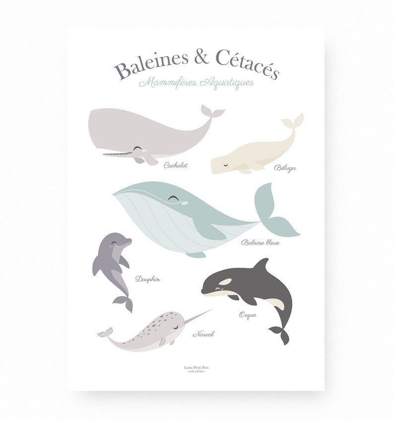 Affiche enfant baleines, affiche cétacés, affiche bébé baleine, affiche enfant mer et océan image 2