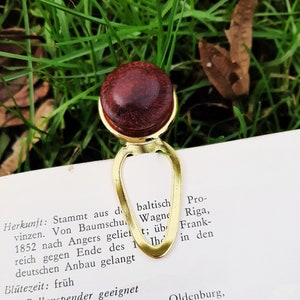 Könnte beinhalten: Ein goldenes Lesezeichen mit einer runden, dunkelroten Holzkappe. Das Lesezeichen ist tropfenförmig mit einer Schlaufe oben. Der Text auf der Seite lautet: "Herkunft: Stammt aus d vinzen. Von Baumschu 1852 nach Angers gelient; üb reich gegen Ende des 1 Ih deutschen Anbau gelangt Blütezeit: früh Als Pollenspender geeignet Befruchtersorten: Cox Orange, Oldenburg, Goldparmäne, James Grieve Frucht: klein bis mittelgroß, druckempfind- lich, spez. leicht; gelb, wachsartig glän- zend; Fleisch locker, angenehm frisch Für Frischverbrauch und Kon- rulich"