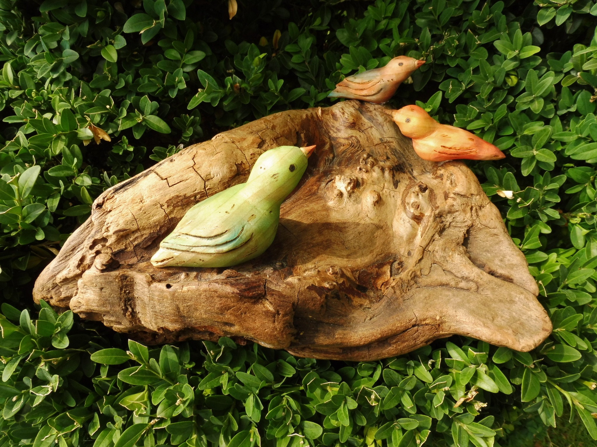 Oiseaux sculptés sur un bois flotté, animaux sculptés à la main, oiseaux sculptés, sculptures en