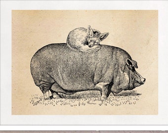 Fuchs und Schwein Vintage Print Collage Poster