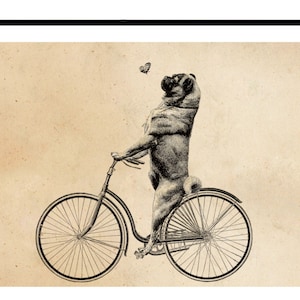 Vintage Print Summer Day Pug Riding a Bike Dog Collage Poster Encyclopedia Wall Decoration Wall Art Bathroom Vintage