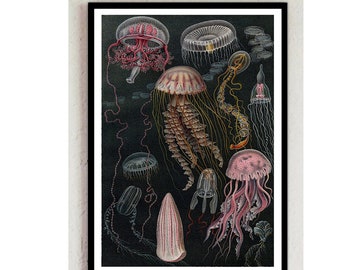 Poster Vintage Print Reprint Wall Decor Jellyfish Poster Vintage Poster