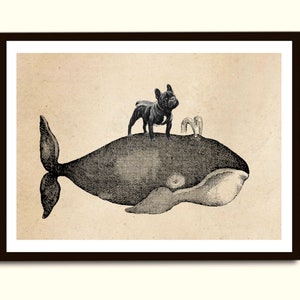 Vintage Print French Bulldog and Whale Collage Poster Encyclopedia Wall Decor