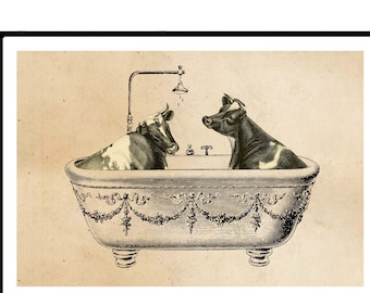 Print Bath Day Cow Cows Vintage Collage Picture Illustration Poster Wall Decor Gift Bathroom
