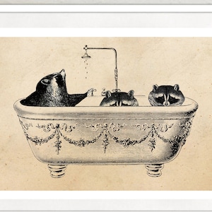 Vintage print raccoons bathing collage poster lexicon wall decoration raccoon bathroom decoration bathroom bathroom decoration