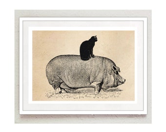 Bild Katt Poster Vintagetryck Svart Katt och Gris Collage Väggkonst Poster Encyklopedi Väggdekoration Vintage Poster Vintage Dekor