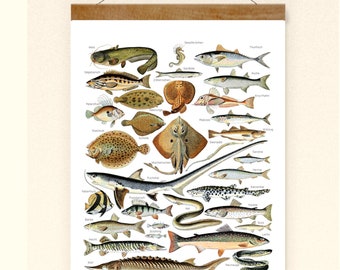 Vintage Print Fish Collage Reprint Lexicon Wall Decoration Wall Art Fish Picture