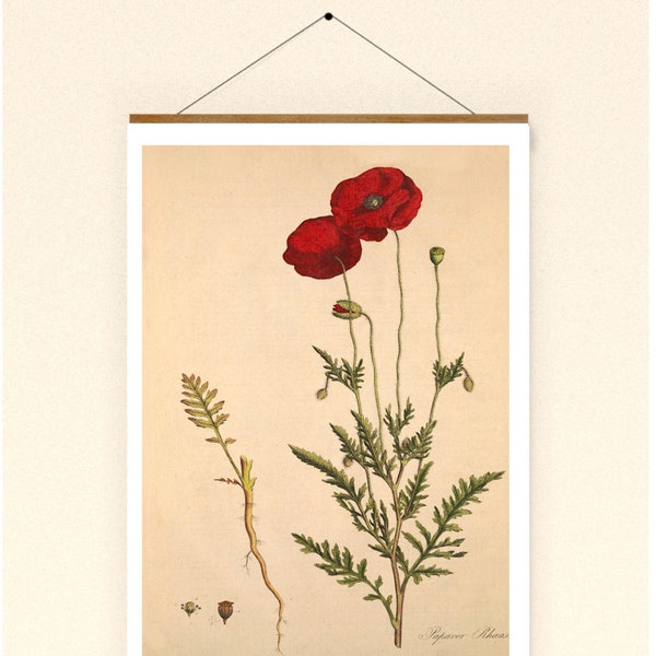 Poster Vintage Art Print Mohn Mohnblume Blume Poster Wanddeko Wandkunst