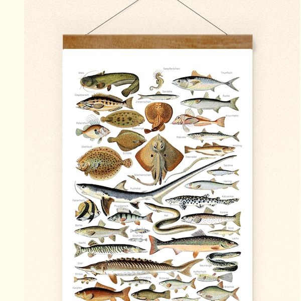 Vintage Print Fische Collage Nachdruck Lexikon Wanddekoration Wandkunst Fische Bild