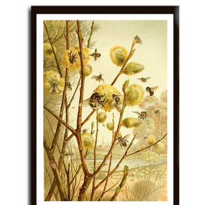 Vintage Print Bees Reprint Wall Decoration