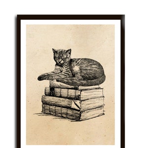 Vintage Print Katze schläft auf Büchern Collage Poster  Wanddekoration