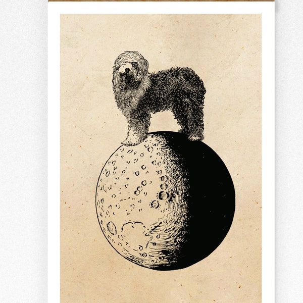 Bobtail Vintage Print Hund auf dem Mond Collage Deko