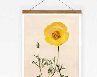 Vintage Print gelber Mohn Mohnblume Blume Poster