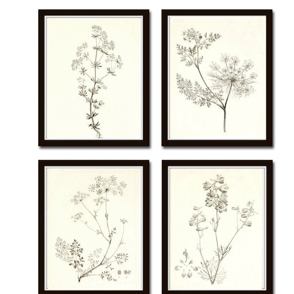 Pflanzen Skizzen Illustrationen Print 4er  Set Wanddekoration Poster Format A4 Vintage botanical