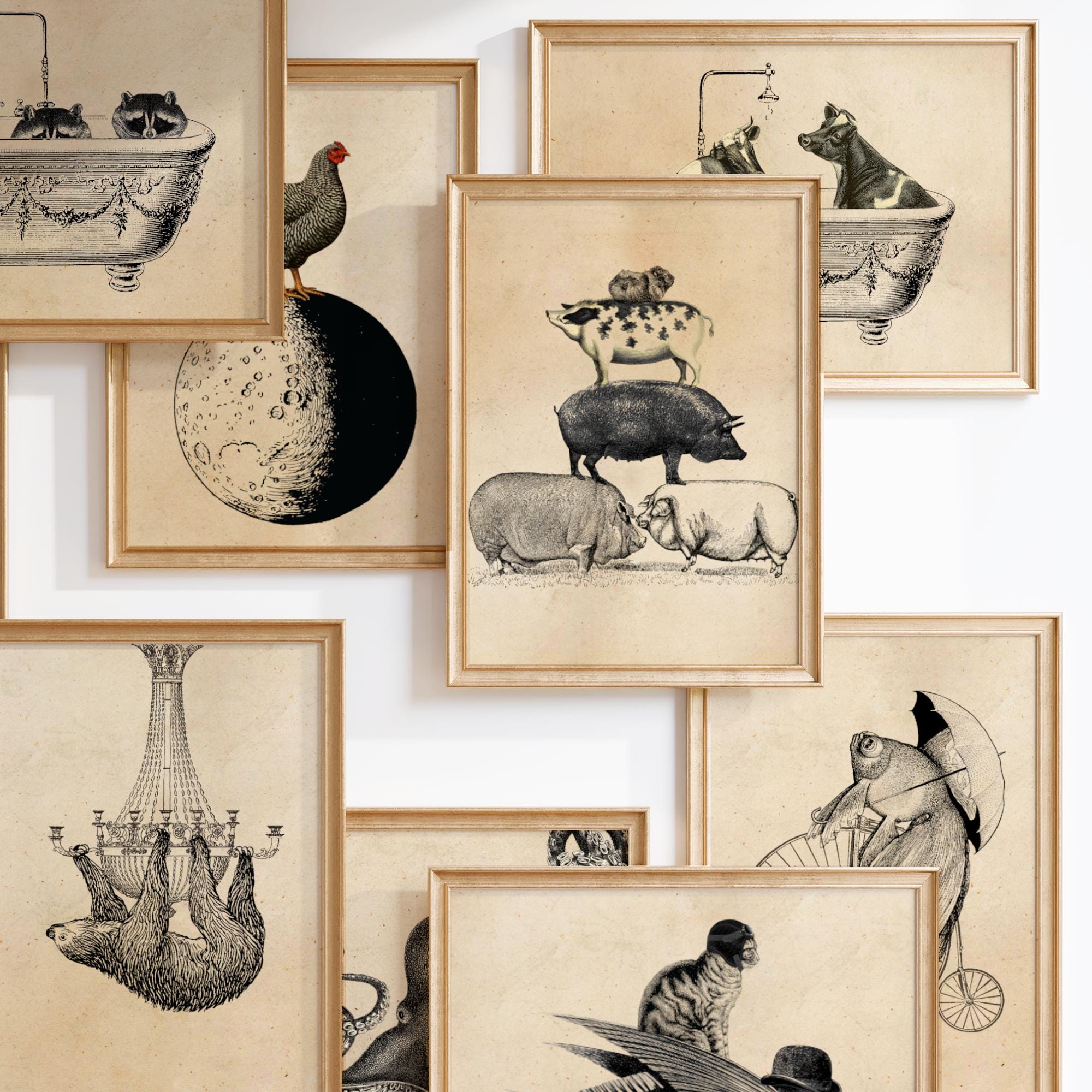 Lsjuee Cochon D'inde Connaissances Vintage Rétro Métal étain Signe Fer Peinture Décoration Café Bar Pub Bière Métal Signe 12X16 Pouces