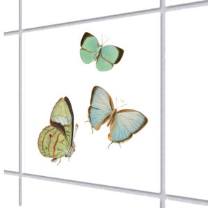 Schmetterlinge Fliesenaufkleber, Fliesensticker, Wandsticker, grün blau Vintage art 15cm x 15cm