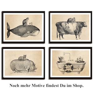 Vintage Print Katze und fliegender Fisch Collage Poster Lexikon Wanddekoration Bild 2
