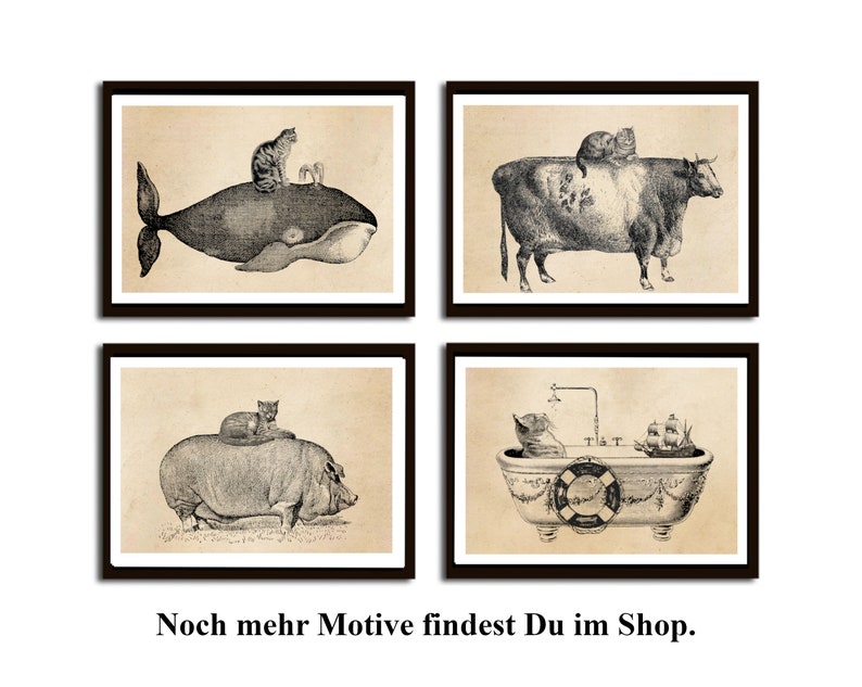 Vintage Print Katze und fliegender Fisch Collage Poster Lexikon Wanddekoration Bild 2