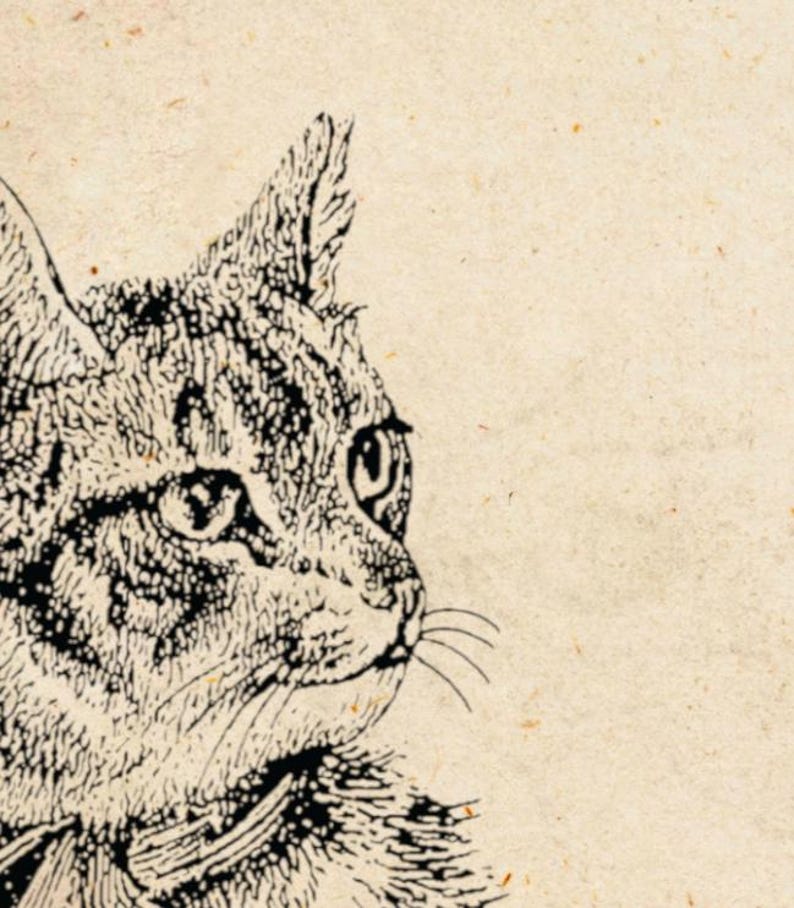 May include: A black and white line drawing of a cat's head and shoulders. The cat is looking to the right of the image. The cat's fur is detailed with lines and dots.