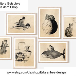 May include: Five black and white illustrations of cats in various humorous situations. The first image shows a cat riding a flying fish. The second image shows a cat sitting on a moon. The third image shows a cat sitting in a bathtub. The fourth image shows a cat sitting on a whale. The fifth image shows a cat looking up at butterflies.