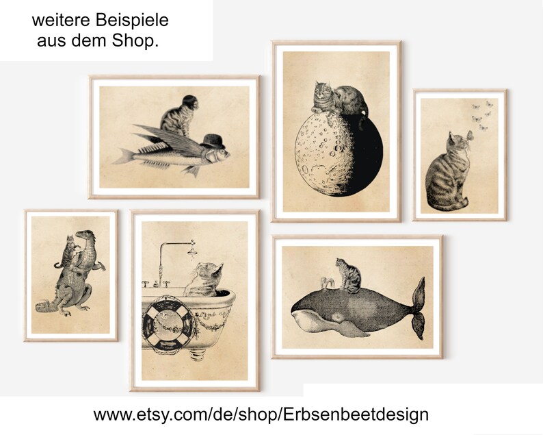 May include: Five black and white illustrations of cats in various humorous situations. The first image shows a cat riding a flying fish. The second image shows a cat sitting on a moon. The third image shows a cat sitting in a bathtub. The fourth image shows a cat sitting on a whale. The fifth image shows a cat looking up at butterflies.
