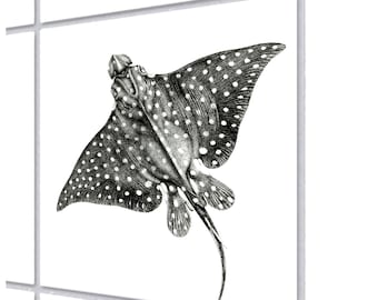 Fliesenaufkleber Fliesensticker Rochen 15cm x 15cm Küche oder Bad Wandsticker