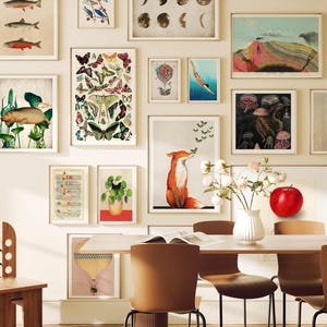 May include: A dining room with a white wall featuring a gallery wall of framed prints. The prints include images of fish, butterflies, a fox, a jellyfish, and a red apple. There is a wooden chair and a table with four chairs.