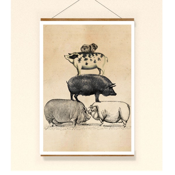 Vintage Print Pyramide Schweine Schwein  Meerschweinchen guinea pig Collage Poster Lexikon Wanddekoration Wandkunst