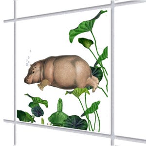 Könnte beinhalten: Illustration eines hellbraunen Nilpferds, das unter Wasser schwimmt, umgeben von grünen Seerosen und Blättern. Blasen steigen aus der Schnauze des Nilpferds auf. Das Bild wird von einem weißen Gitter umrahmt.