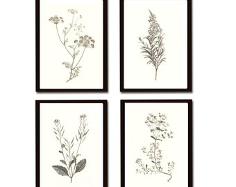 Wanddeko Wandkunst Pflanzen Skizzen Illustrationen Print 4er Set Line Art Wanddekoration Poster Vintage Landhaus botanical