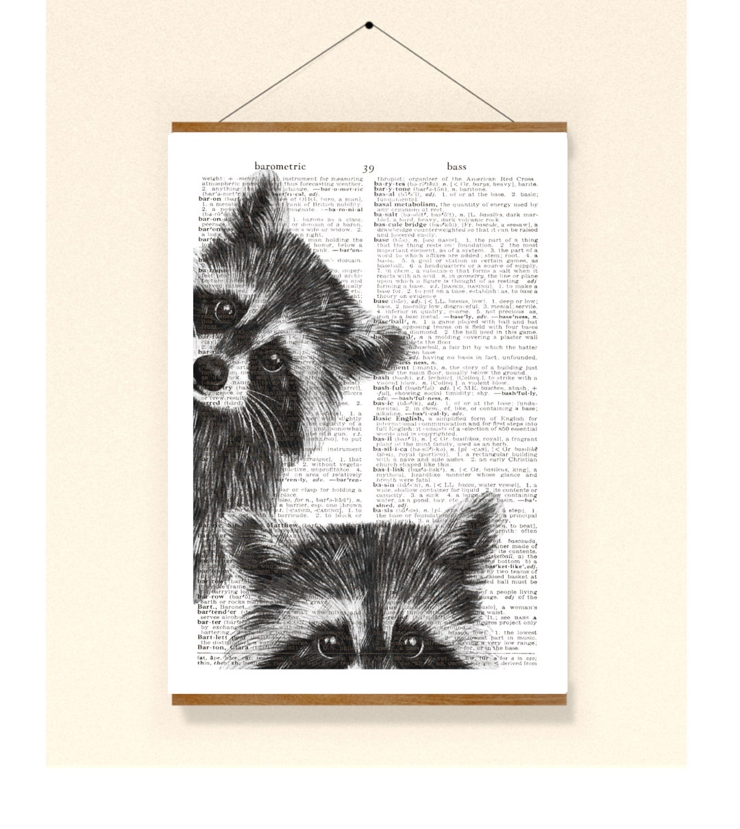 Raccoons Vintage Print Collage Poster Lexicon Bathroom Decoration - Etsy