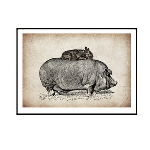 Print Bulldogge und Schwein. Collage Bild Illustration Poster Wanddeko Tierposter