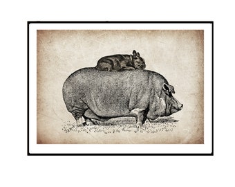 Tryck av en bulldogg och en gris. Illustration av en collagebild, väggdekoration med djurmotiv, anpassningsbar.